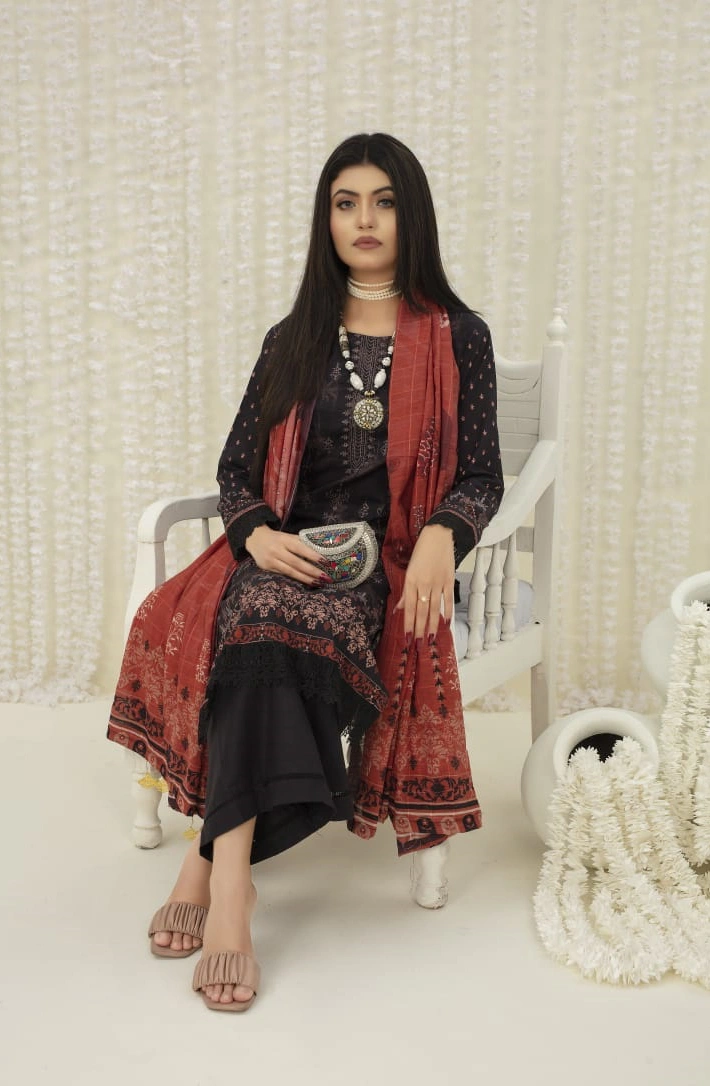 Model Image